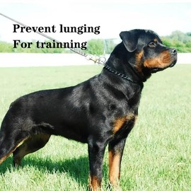 Chain Collar for Dogs, Metal Slip Link Training Heavy Duty Dog Collar Martingale Puppy Collars for XXS XS Small Medium Large Dogs, 2xSilver S