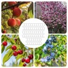 VZU Pack of 30 8 cm M-shaped Fruit Tree Branch