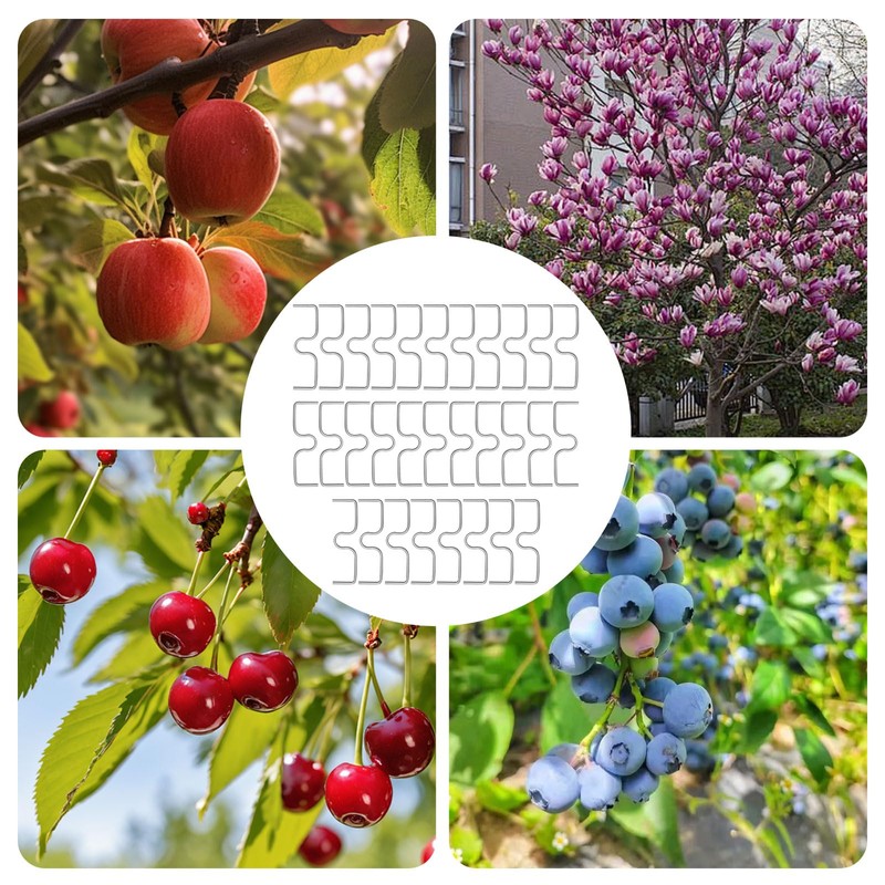 VZU Pack of 30 8 cm M-shaped Fruit Tree Branch