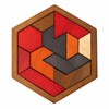 Hexagonal Wooden Puzzle for Brain Teasing – 11-Piece Logic Challenge