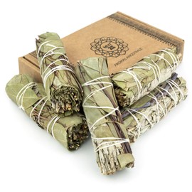 MUT22 5 Sage and Eucalyptus 10cm Premium Californian, 100% Natural and Cleansing, Ideal for Spiritual and Energetic Rituals