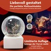 10009 Bull & Bear Snow Globe | White Square Base