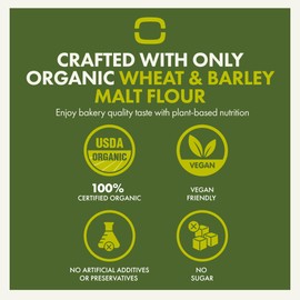 Let’s Bake Bread Organic Focaccia Baking Mix - Soft, Flavorful Italian Bread at Home - USDA Organic, Non-GMO, No Additives, Easy Home Baking, Golden Crust, Fluffy Texture - 17.64 oz (1 Pack)