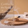 Sacred Nest Extra Premium Palo Santo & MP3 Ritual |