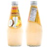 Parrot Coconut Milk Drink Mango with Pulp 290ml（Pack Of 12）