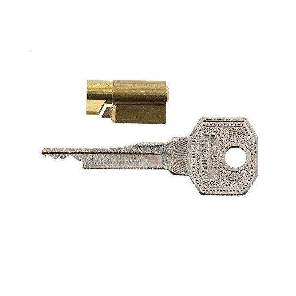 Burg-WÃ¤chter Lockblocking Key for Furniture Mortice Locks, Cylinder Diameter: 6 mm, Includes 2 Keys, ME/2 SB, 04341, 1 Unit Supplied