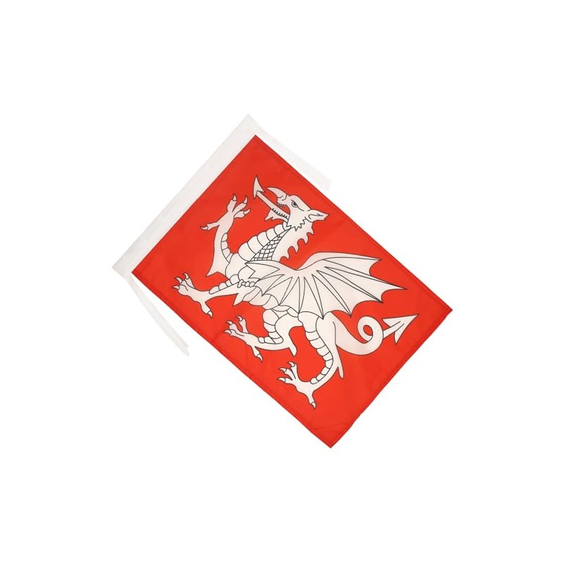 AZ FLAG English White Dragon Flag 18'' x 12'' cords