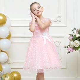 Girls Dress Pink Polka Dot Flower Leaf Fairy Princess Elegant Party Size 6