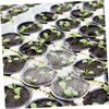 BESPORTBLE 100Pcs Hydroponic Plant Grow Covers Transparent Humidity Dome for