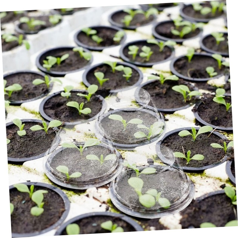 BESPORTBLE 100Pcs Hydroponic Plant Grow Covers Transparent Humidity Dome for