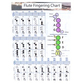 Flute Chord Chart, Easy-to-understand Flute Fingering Practice Chart Standard White with Coated Paper for Practice Teaching Aids Instrument for Flute Students(Flute Fingering Table Small (28*21cm))
