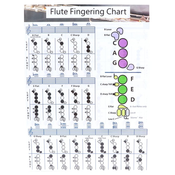 Flute Chord Chart, Easy-to-understand Flute Fingering Practice Chart Standard White