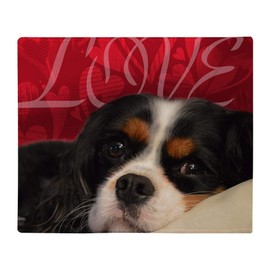 CafePress Cavalier King Charles Spaniel Love Throw Blanket Soft Fleece Throw Blanket, 50"x60" Stadium Blanket