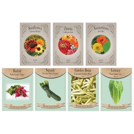 Set of 7 Beginner Gardener’s Seed Collection – Easy-to-Grow Flowers & Vegetables for New Gardeners – Non-GMO, Heirloom, High Germination – Sunflowers, Zinnias, Lettuce, Squash & More