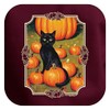 Fall Clothes for Women Black Cat in A Pumpkin Patch
