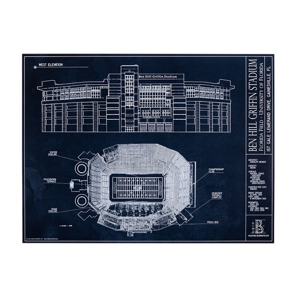 Ben Hill Griffin Stadium - University of Florida (Unframed, 18" x 24")