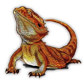 Bearded Dragon Lizard Reptile Pet - 5" Vinyl Sticker - for Car Laptop I-Pad - Waterproof Decal