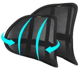 SANHSEHOME Lumbar Support Back Support for Office Chair 2 Pack Lumbar Support Pillow for Car Chair Back Support with Double Layer Breathable Mesh & Adjustable Straps