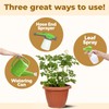 Potato Fertilizer – Liquid Plant Food for Bigger Tubers, Stronger