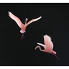 Flamingo Duo Mobile Sculpture From John Perry 8in Wing Span