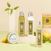 Occitane Gel Ducha Eco Refill Verbena 500ml