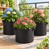 Felt Grow Bags for Vegetables, Strawberries & Flowers – Breathable