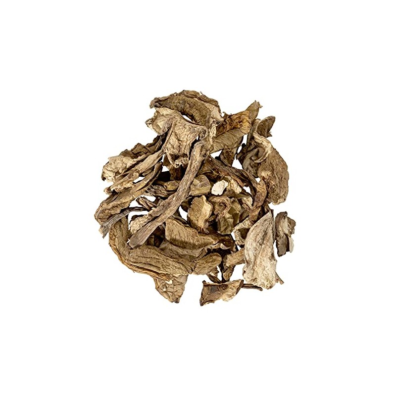 Italian Porcini Grade AB 16 oz by JR Mushrooms