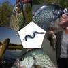 FishTrip Crappie Panfish Fishing Hooks-100pcs Aberdeen Hooks Long Shank Light