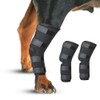 Dog Rehab Supplies, Small Dogs, Medium and Large Dogs, Supporter,