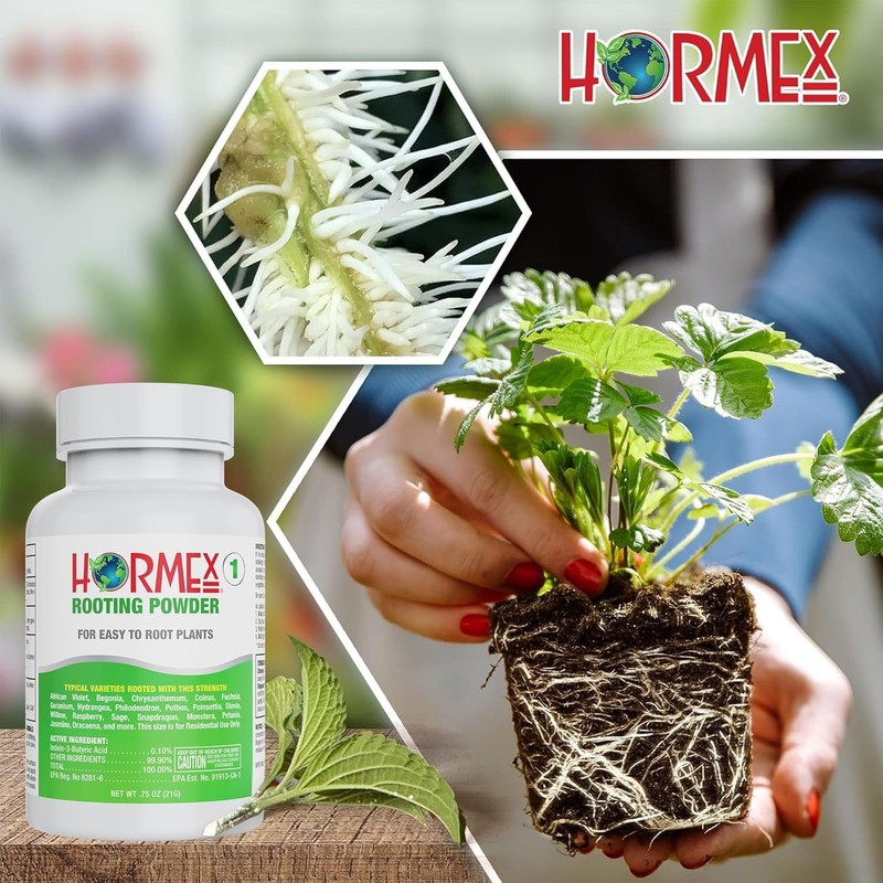 Hormex Rooting Powder #1 & Rooting Cubes Combo - Rooting