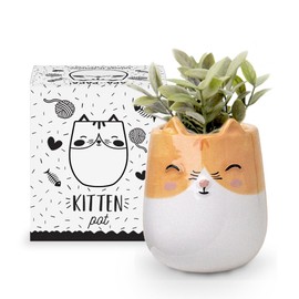 Apa la Papa, Kitten Animal Ceramic Planter for Indoor and Outdoors, 3 x 3 x 4 in., Cute Hand Painted Designed in Argentina, Convenient Drain Hole
