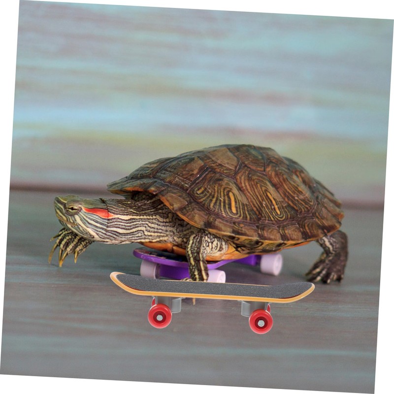 Levemolo Pet Turtle Skateboard Bearded Dragon Scooter Accessories for Tortoises
