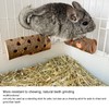 Chew Toys, Bunny Toys for Teeth, Hamster Log Chew Toy