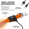 PetIsay Glow-in-The-Dark Dog Collar - Rechargeable IP68 Waterproof LED Collar