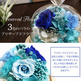 TEATSIGHT Preserved Flower Arrangement in a Glass Pot, Wrapped, 3 Flowers (Roses, Blue Rose)