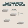 Myprotein The Creatine (Creapure®) | Micronised Creatine Monohydrate Tablets |