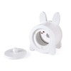Janod - Wooden Bunny Money Box for Children - Transparent