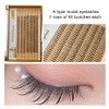 Fishtail Eyelash Extensions Mix Length Single Cluster Fans Eyelashes Fashion