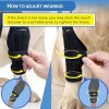 Rodillera Para Perros Rodillera Acl Para Perros Rodillera Pr Negro