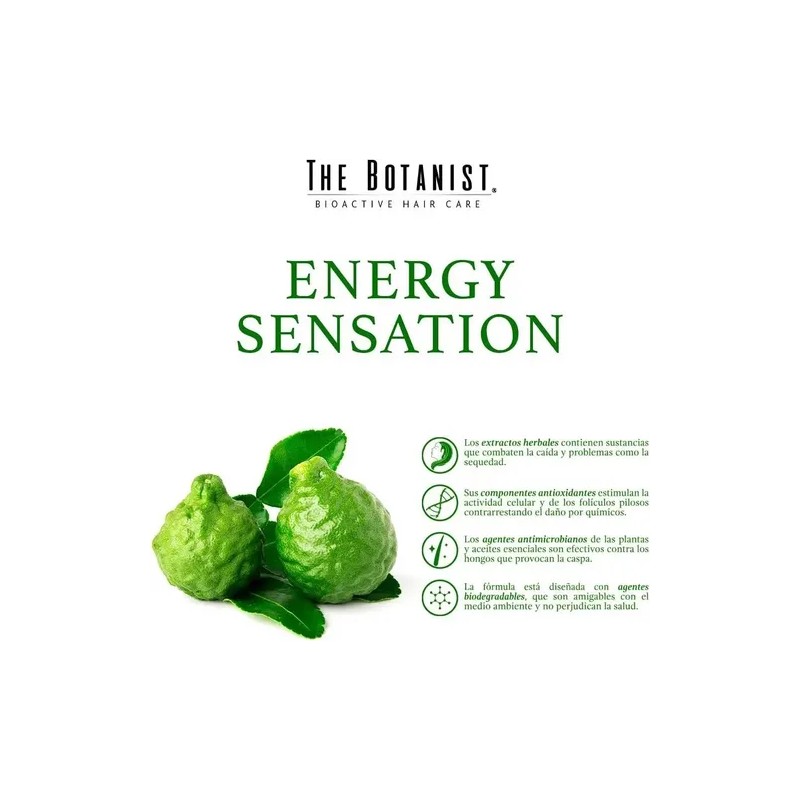 Shampoo Bergamot Basil 591ml THE BOTANIST