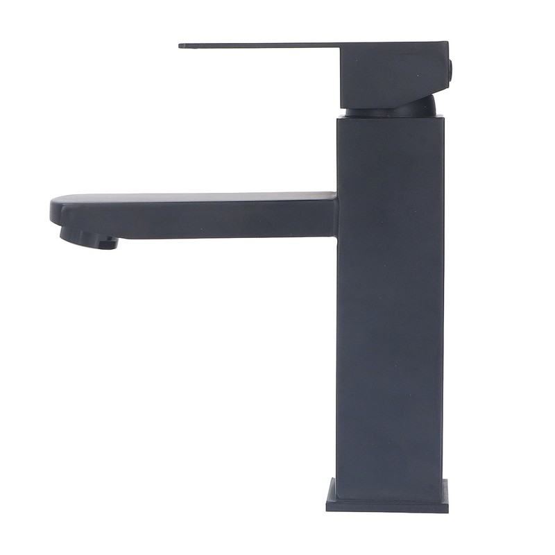 Basin Faucet Stainless Steel Surface Black Baking Paint Bathroom Sink