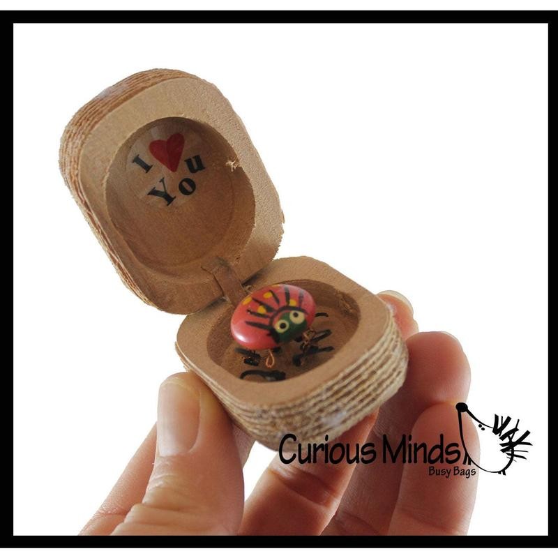 Love bug in Box Novelty Gift - Bugs Legs Wiggle