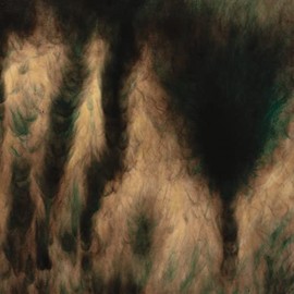 Lamentations [Vinyl LP]