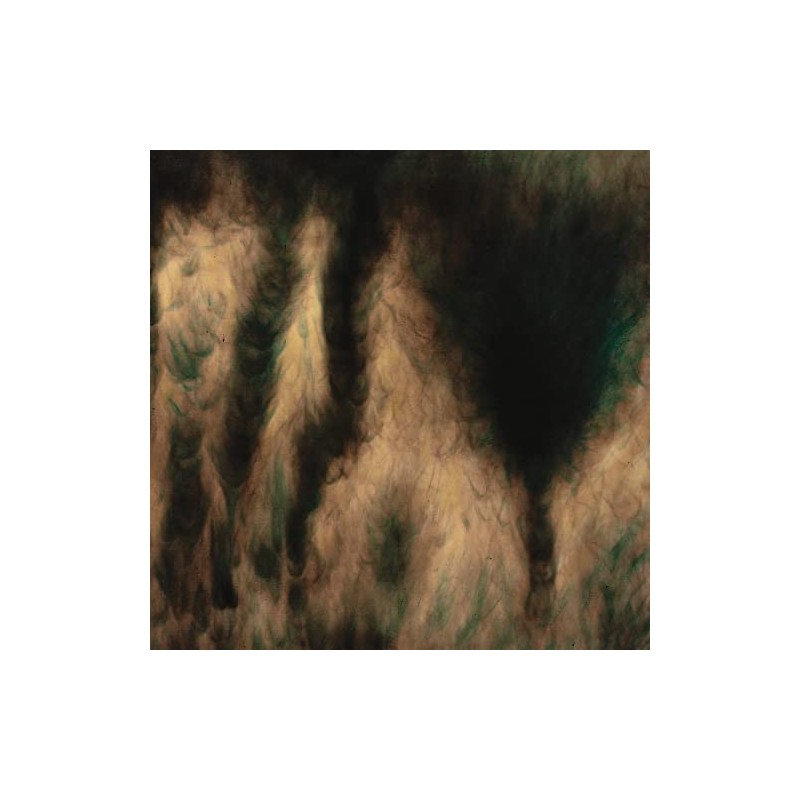 Lamentations [Vinyl LP]