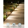 LEONLITE Low Voltage Path Lights, 3W LED Landscape Pathway Lights,