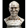 VOANZO Resin Human Model Anatomy Skull Head Muscle Bone Medical
