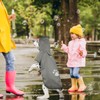 Grey Dog Raincoat