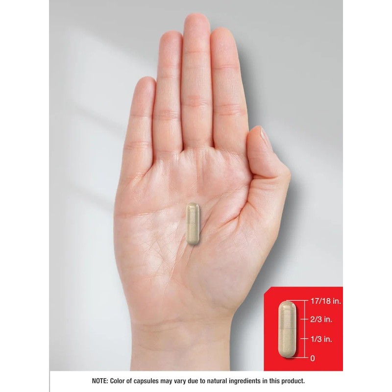 Soporte De Próstata Prostate Support Complex 200 Cápsulas Sin Sabor