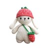 Hardicraft DIY Crochet Kit with Instructions and Material for Ilse