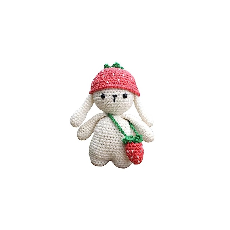 Hardicraft DIY Crochet Kit with Instructions and Material for Ilse